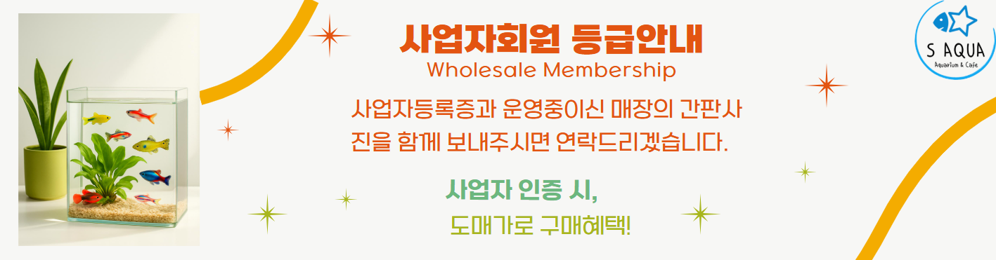 도매 사업자 안내