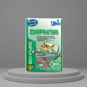 히카리 다프니아(냉동물벼룩)
